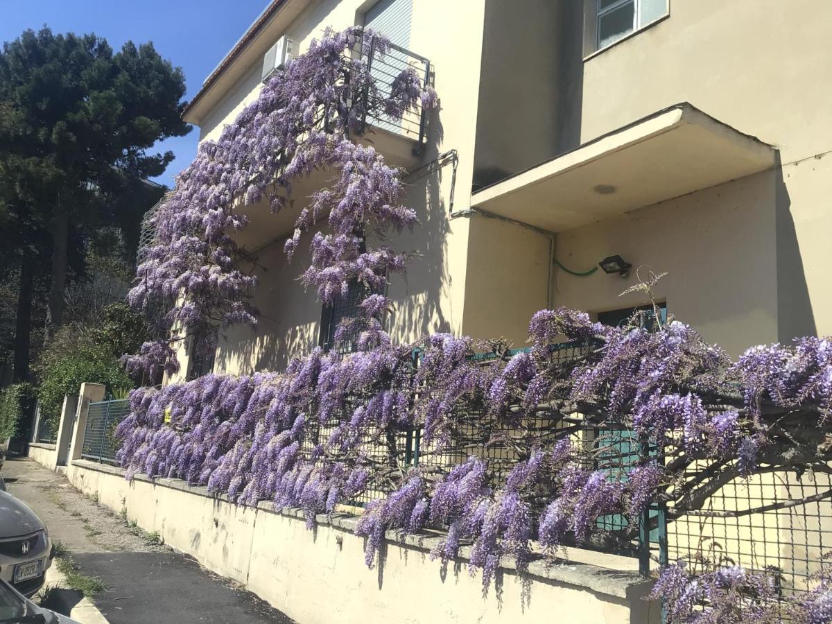 B&B Il Glicine Pescara Centro Exterior photo
